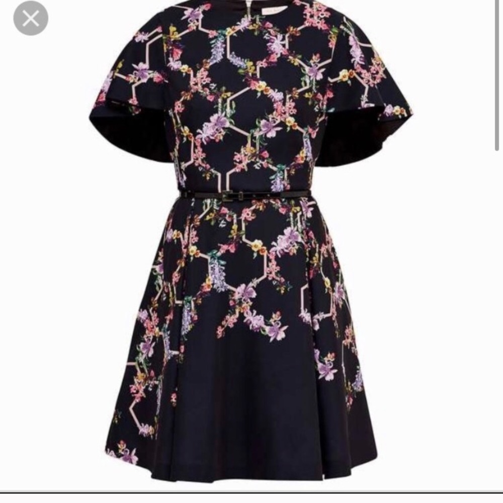 Ted Baker Dress, private offer